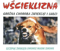 szczepienia przeciw wsciekliznie